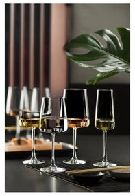 Чаши за шампанско в комплект от 4 бр. 260 ml Zero – Lyngby Glas