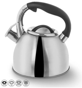Чайник от неръждаема стомана с шарнирна свирка Darek, 2,7 л - Orion