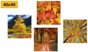 Комплект картини – Есенна природа в красиви цветове