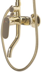 Комплект за душ REA SALTON GOLD