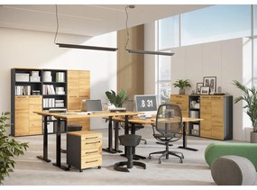 Работна маса с електрическо регулиране на височината с дъбов плот 80x160 cm Agenda – Germania