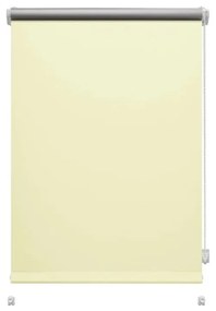 Ролетна щора в естествен цвят 42,5x150 cm Mini Termo – Gardinia