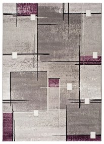 Сив и лилав килим Детройт, 120 x 170 cm - Universal