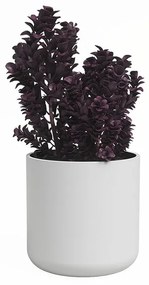 Керамична саксия за цветя ø 14 cm Juno – Artevasi