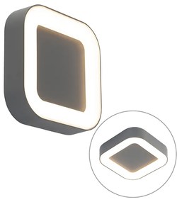 Стенна и таванна лампа сива квадратна IP54 - Ariel
