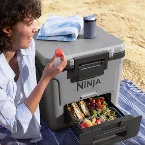 Хладилна кутия Ninja FrostVault FB230EUGY, 28 л, Пасивна, 48 кена, Поддържа лед до 5 дни, Сухо отделение, Колела, Сив