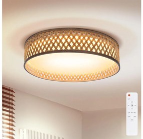 Brilagi - LED Димируем плафон CAMILA LED/48W/230V 3000-6500K + д.у.