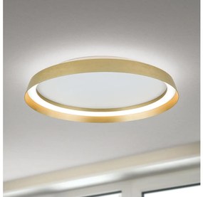 Orion DL 7-699/45-LED LED осветително тяло MANTA 38W/230V pr. 45 cm