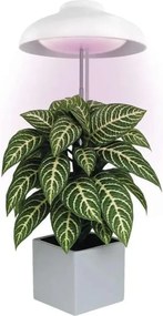 LED лампа за вътрешно отглеждане на растения GROW LED/5W/5V