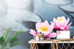 Фототапет – Лотосов цвят в езеро