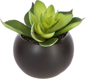 Изкуствено растение atmosphera Succulent, 6 cm, Различни видове
