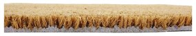 Изтривалка от кокосови влакна 40x60 cm Curly – Artsy Doormats