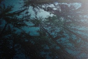 Картина на платно – Гора под нощно небе