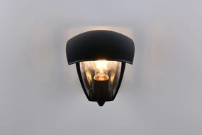 Стенно външно осветително тяло (височина 24 cm) Venta – Trio