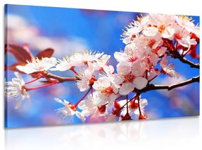 Картина на платно – Цвят на череша