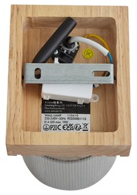 Модерен спот дърво с опушено стъкло, въртящ се и накланящ се - Gracy