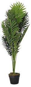 Декоративно Растение DKD Home Decor Палма 40 x 40 x 100 cm полиетилен Зелен Град