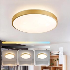 Brilagi - LED димируемо осветително тяло GLASS POOL DOUBLE LED/60W/230V 50 cm златно + дистанционно управление