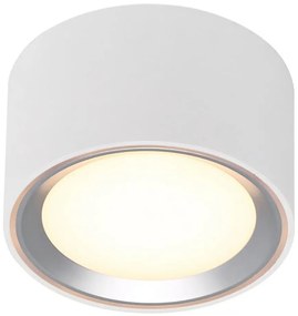 Nordlux - LED Димируем плафон FALLON LED/5,5W/230V