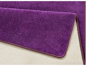 Тъмнолилав килим 160x240 cm Fancy – Hanse Home