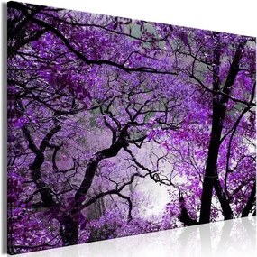 Mass - Purple Ice Skate (1 част) Wide - 90x60