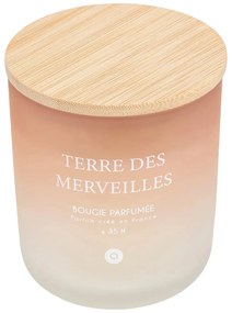 Ароматна свещ atmosphera Sana, Стъкло, 255 g - Terre de Lune