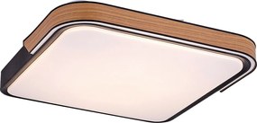 Rabalux Arild Таванно осветление (плафони) IP20 LED 48W 3000-6500 71146