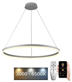 Brilagi - LED полилей на кабел CIRCLE с възможност за димиране LED/55W/230V 3000-6500K + дистанционно управление