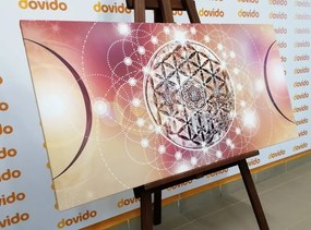 Картина на платно – Очарователна Мандала