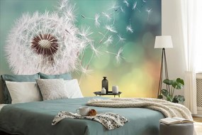 Фототапет – Вълшебно глухарче