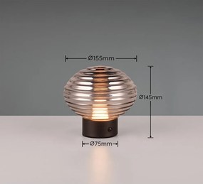 Черно-сива димируема настолна LED лампа със стъклен абажур (височина 14,5 cm) Earl - Reality