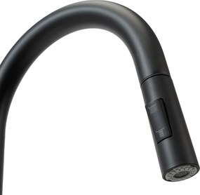 Смесител за кухня Rea Fresh Black Matt