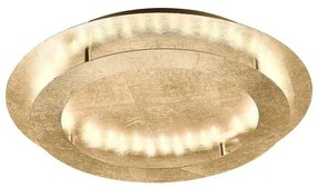 Paul Neuhaus 9621-12 - LED Лампа NEVIS LED/24W/230V