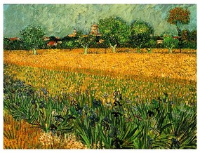 Репродукция на Винсент ван Гог - , 40 x 30 cm View of arles with irises in the foreground - Fedkolor