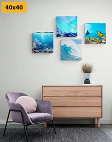 Комплект картини – Живот под водата