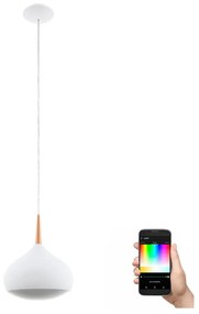 Eglo 97087 - LED RGBW Димируем висяща лампа COMBA-C 1xLED/18W/230V