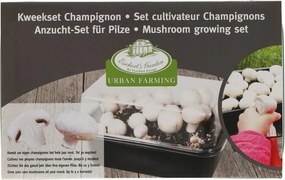 Разсадник за растения Field Mushroom – Esschert Design