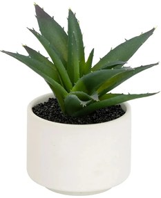Изкуствено растение atmosphera Succulent, 13 cm, Различни видове