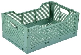 Светлозелена пластмасова кутия за съхранение 40x30x17 cm – Homéa