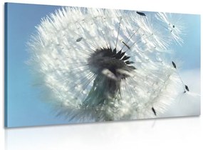 Картина на платно – Детайл от глухарче