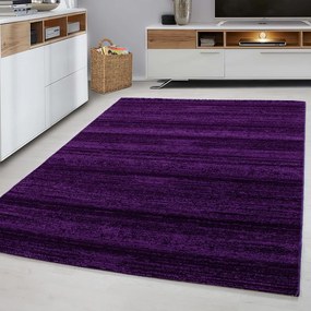 Тъмнолилав килим 160x230 cm Plus – Ayyildiz Carpets