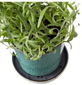 Глинено покритие за кашпа ø 10 cm Gastro Green/Black – Bitz
