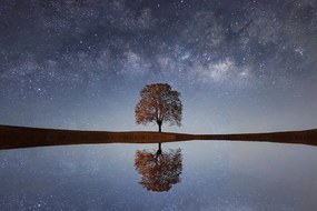 Фототапет – Звездно небе над самотно дърво