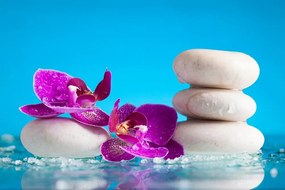 Фототапет – Уелнес натюрморт