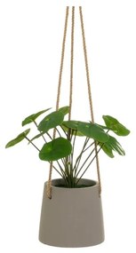 Изкуствено растение (височина 24 cm) Pilea – Casa Selección