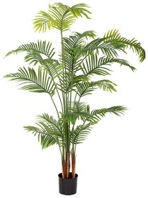 Декоративно Растение Полиуретан Цимент Areca 150 cm