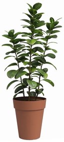 Саксия за цветя от рециклирана пластмаса ø 40 cm Capri – Artevasi