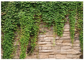 тапети - Ivy wall 200x140