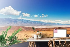 Фототапет – Пътека в средата на природата