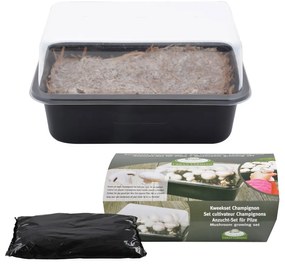 Разсадник за растения Field Mushroom – Esschert Design